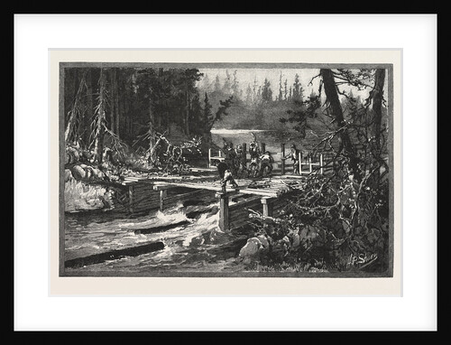 Dam on Tuque Creek, Lumbering, Canada by Anonymous