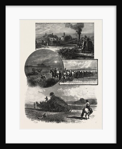 Manitoba, Modern Prairie Farming, Canada by Anonymous