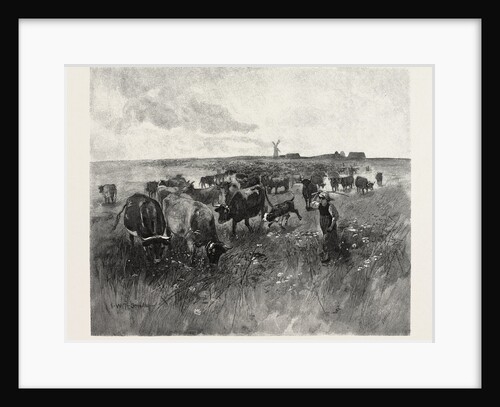 A Mennonite Girl Herding Cattle, Canada by Anonymous