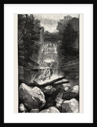 Ravine Near Whirlpool, Canada by Anonymous