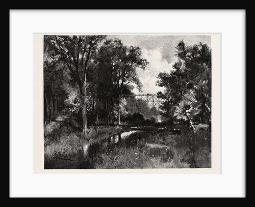 The North Iron Bridge, and Ravine, Rosedale, Canada by Anonymous