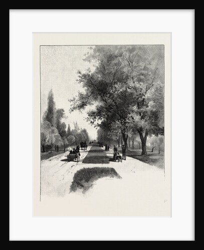 Toronto, College Avenue (Queen Street), Canada by Anonymous