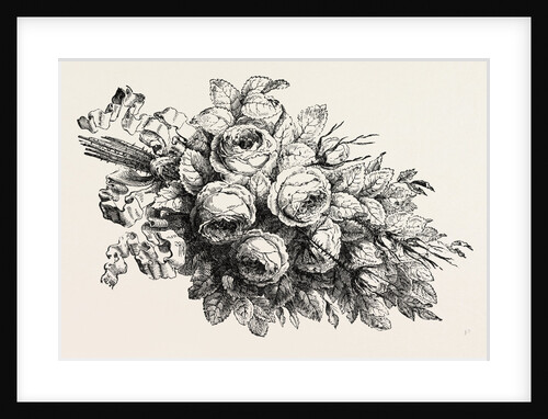 Flower, Flowers by Anonymous