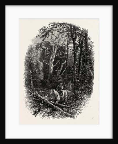 In Cedar Walk, Virginia Water, Village Being in the Borough of Runnymede in Surrey by Anonymous