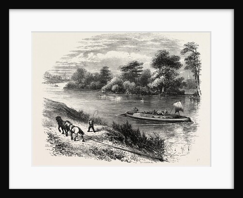 Magna Charta Island, in the River Thames, England by Anonymous