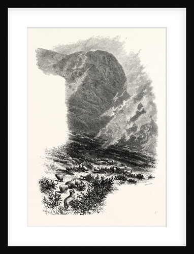 Cliffs on the Conway Mountain, North Wales by Anonymous