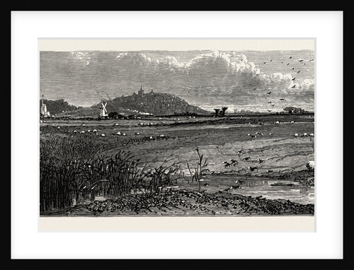Distant View of Rye, Kent by Anonymous