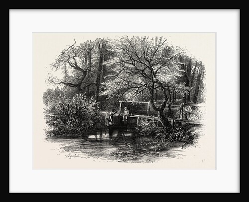 Markeaton Brook, East Midlands of England by Anonymous