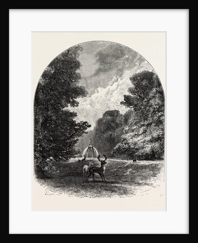 The Chestnuts and Deer in Bushey Park by Anonymous