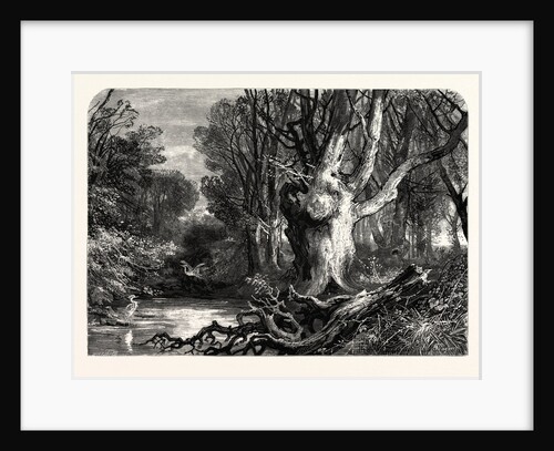In the New Forest, Near Lymington by Anonymous