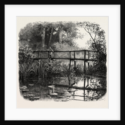 Near Godalming, Surrey, England by Anonymous