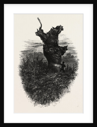 The Monkey Tree, Burnham Beeches by Anonymous
