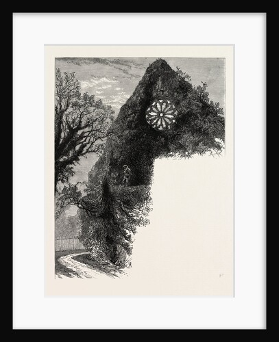 Dryburgh Abbey by Anonymous
