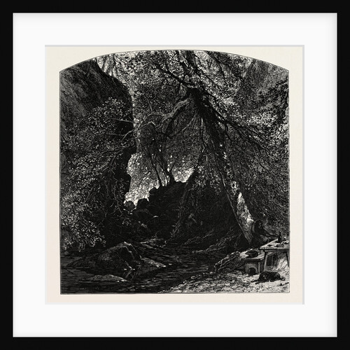 The Dargle, Ireland by Anonymous