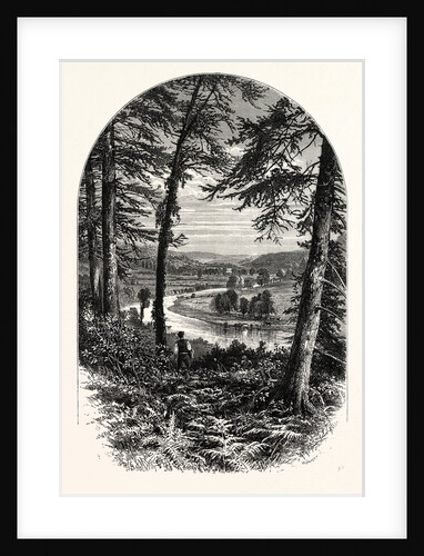 The Vale of Avoca, Ireland by Anonymous