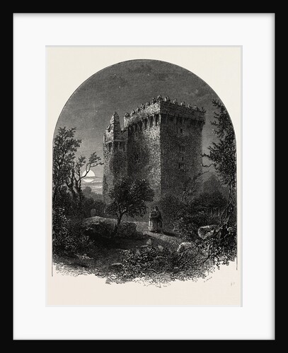 Blarney Castle, Ireland by Anonymous
