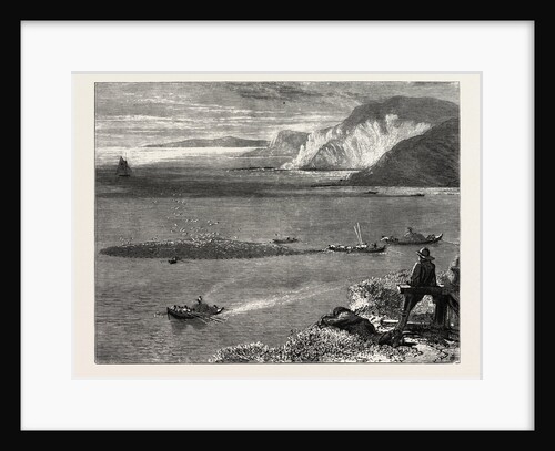 Pilchard Fishing Off the Lizard by Anonymous