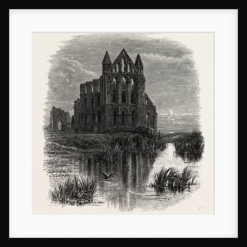 Whitby Abbey by Anonymous