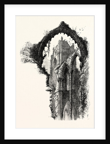 Fountains Abbey by Anonymous