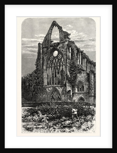 West Front of Tintern Abbey by Anonymous