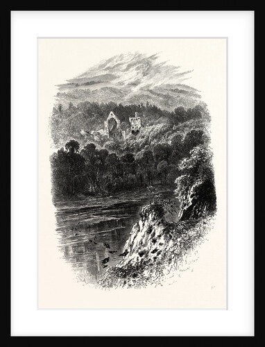 Dryburgh Abbey by Anonymous