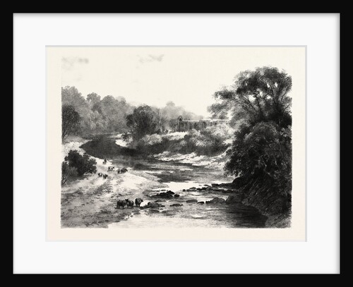 On the Wharfe, Bolton Abbey by Anonymous
