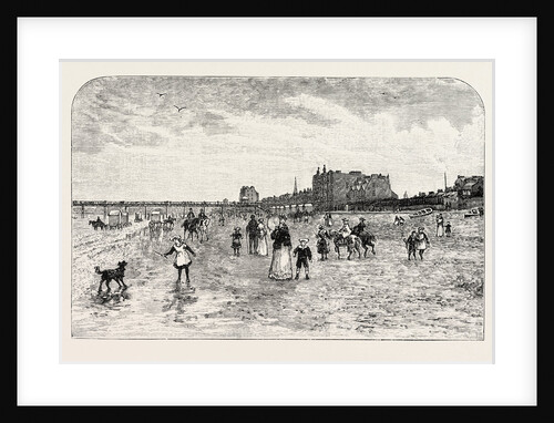 Portobello by Anonymous