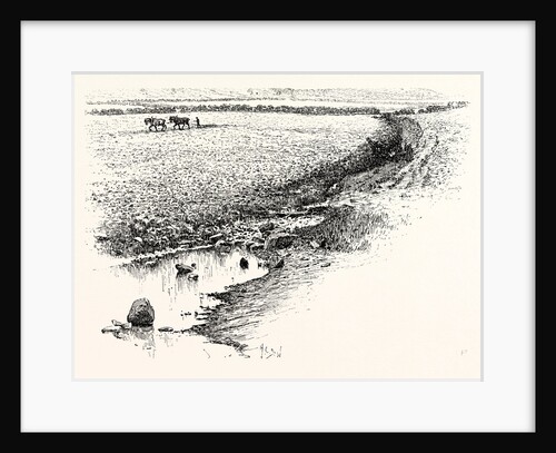 Flodden Field by Anonymous