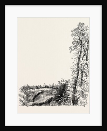 Twisell Bridge by Anonymous