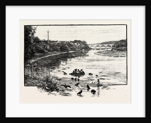 Coldstream Bridge, from Up-Stream by Anonymous