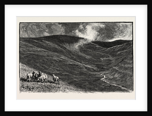 Among the Fells by Anonymous