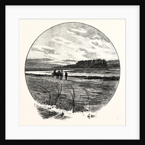 The Coquet at Farnham by Anonymous