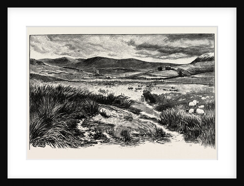 Keilder Moors (with Peel Fell to the Right) by Anonymous