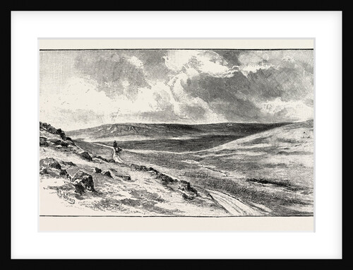 Alston Moor is an Area of Moorland and Civil Parish in Cumbria, England by Anonymous