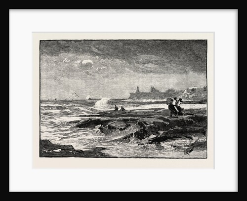 Tynemouth, from Cullercoats by Anonymous