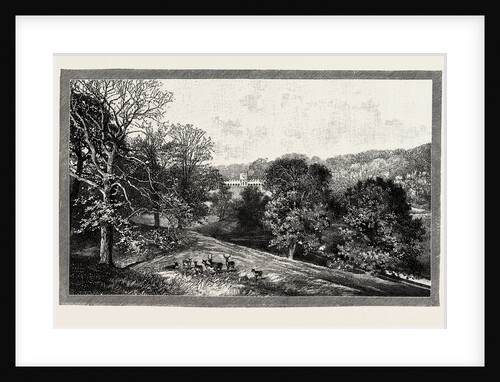 Bishop Auckland Palace and Park by Anonymous