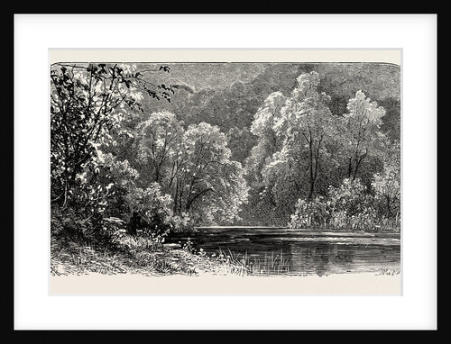The Banks of the Dove by Anonymous