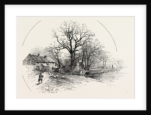 The Crow Trees, Barrow-on-Trent by Anonymous