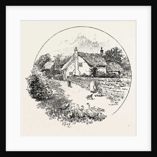 Allestree by Anonymous