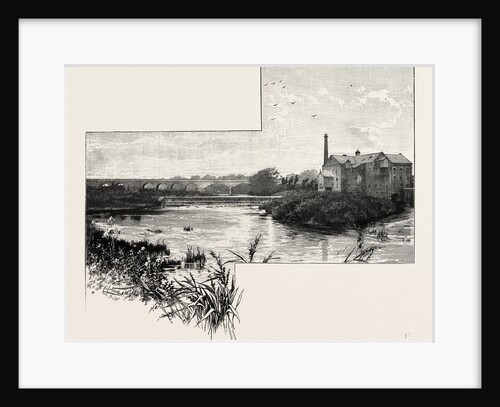 Tadcaster by Anonymous