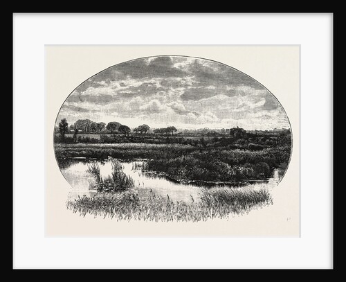 A Norfolk Broad by Anonymous