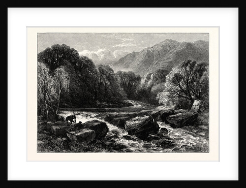 On the River Lledr by Anonymous