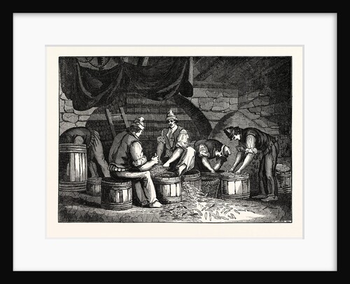 Method of Curing Anchovies in Sicily Italy by Anonymous