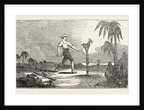 Singular Dexterity of a Goat by Anonymous