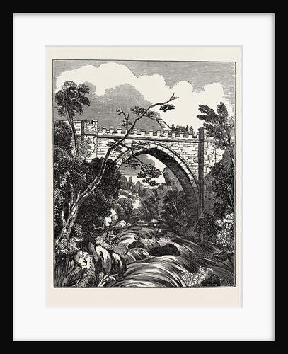 The Abbey Bridge. Rokeby, Yorkshire by Anonymous