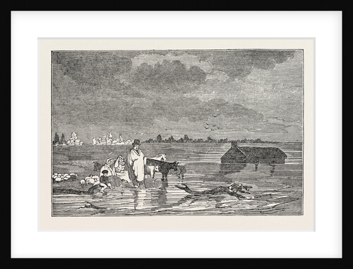 Funns and His Family in the Flood by Anonymous