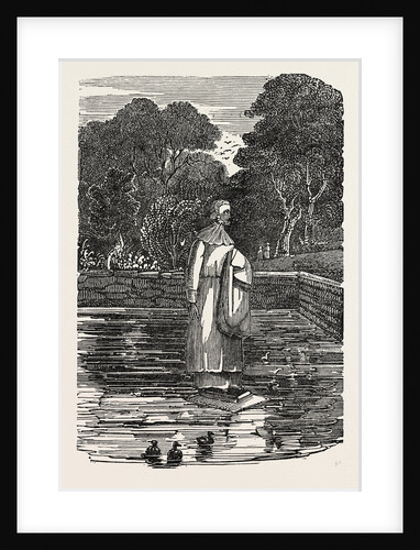 Statue in Our Lady's Well, at Halystone by Anonymous