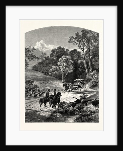 The Glen, Newport by Anonymous