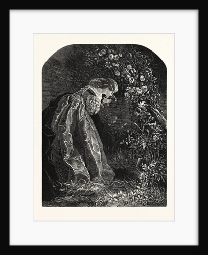 Burying the Pet Bird by Anonymous