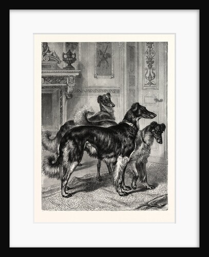 Gentlemen of Leisure by Anonymous